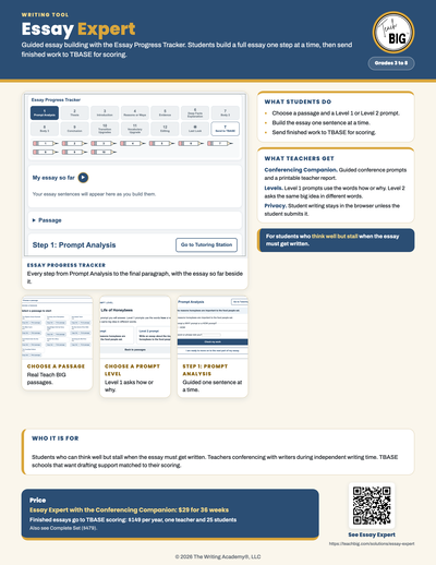 Essay Expert one-page flyer preview.